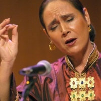 Parissa in Muslim Voices Festival New York 2009