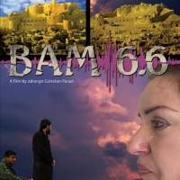 “BAM 6.6” Documentary Film: Screening and Meet the filmmaker