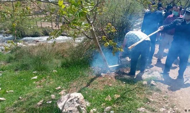 تیراندازی به پلیس در لرستان: هفت مامور ناجا در درگیری‌ های «کهمان» بر سر قطع درختان گردو مجروح شدند
