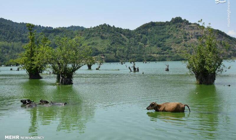 عکس دریاچه متحرک ایران