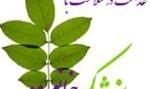 سامانه آفلاین پزشک خانواده