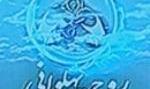 هادی عامل دچار سانحه رانندگی شد