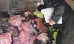 مدیر مرکز بهداشت شماره دو اصفهان خبر داد: تعطیلی مرکز غیربهداشتی تامین ...