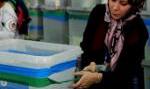 رئیس جمهوری افغانستان بر انتقال قدرت در تاریخ یازدهم شهریور تاکید کرد