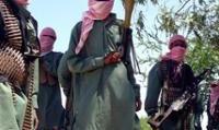 گروه الشباب در سومالی ۱۴ ماهیگیر ایرانی را گروگان گرفت