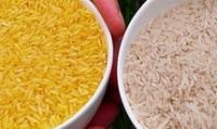 دستكاری ژنتیكی ۴۷ درصد برنج&#۸۲۰۴;ها