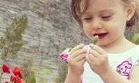 ادعای افخمی؛ واهمه داوران از جایزه دادن به یک فیلم