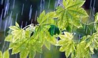 رگبار باران در انتظار ۵ استان