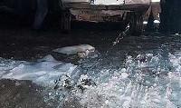 جزئیات مرگبار سقوط خودرو مدیرعامل موسسه آرمان رومشکان در رودخانه کشکان