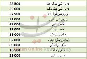 قیمت انواع ماهی در میادین