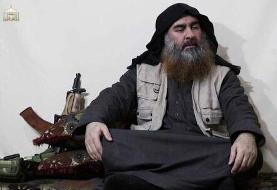 رویترز مدعی شد: ایران از کشته شدن البغدادی اطلاع داشت