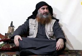 جسد 