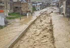 سیلاب در تربت جام یک کشته گرفت