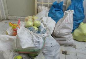 کشف ۳۵۸ کیلو موادمخدر در خراسان رضوی