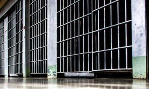 پگاه آهنگرانی، صبا آذرپیک و حسین قدیانی در لیست عفو شدگان اخیر