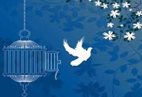 رهایی ۴ نفر از محکومان به قصاص نفس از اعدام
