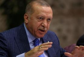 اردوغان: امانوئل ماکرون «دچار مرگ مغزی است»