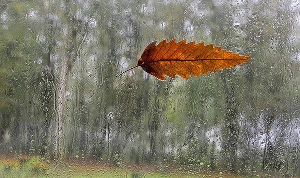 وضعیت بارش‌ها در کشور طی دو ماه آینده