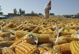 ضرورت اشاره به جنایت آمریکا در کتب درسی