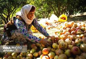 قبل از دادن وام اشتغال به بازار محصول فکر کنیم!