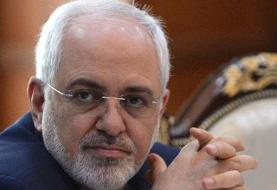 ظریف:  خباثت و حماقت نیروهای تروریست آمریکایی درخت مقاومت در منطقه و جهان را تنومندتر خواهد کرد