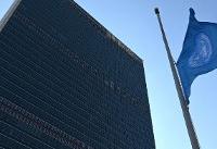 UN mourns after 21 staff killed in Ethiopia plane crash