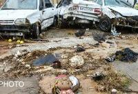 شناسایی دو نفر دیگر از جان‌باختگان سیل شیراز
