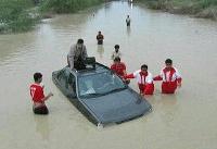 نگرانی رئیس سازمان محیط زیست از گرد و غبار رسوبات سیل