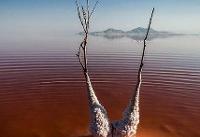 خشک شدن دریاچه ارومیه تهدیدی جدی برای کشاورزی آذربایجان غربی