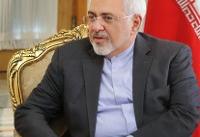 حضور ظریف در جمع تعدادی از ایرانشناسان و اندیشمندان روسی