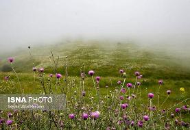 اردبیلی‌ها بخاری‌ها را آماده کنند؟