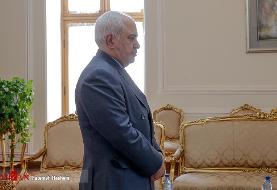 ظریف: داغدار اندوه بزرگی هستم که وطن را فرا گرفته است