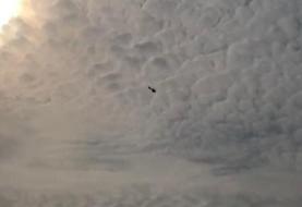 پرواز بالگردهای آمریکایی در بغداد همزمان با تشییع پیکر سردار سلیمانی+عکس