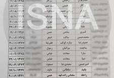 اسامی مسافران هواپیمای اوکراینی