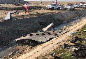 ۱۴۷ ایرانی در حادثه سقوط هواپیمای اوکراینی فوت شدند