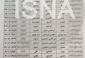 اسامی مسافران هواپیمای اوکراینی/ ۱۴۷ مسافر ایرانی بودند (+عکس)