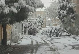 برف و باران از فردا در بسیاری از شهرها/ ‌کاهش دما و سرما در کشور