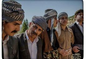 اکران «درخت گردو» در کرستان/ ۲ فیلم دیگر روی پرده می‌آیند