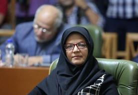 نهادهایی که از دولت بودجه‌ فرهنگی می‌گیرند، به شهرداری اختصاص دهند | فردای پساکرونا را دریابیم