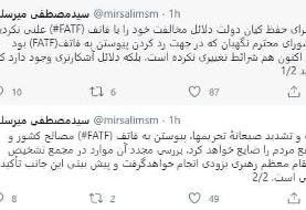 برای حفظ کیان دولت دلائل مخالفت با FATF را علنی نکردیم | باز هم تایید نمی‌شود