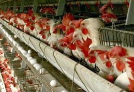 ممنوعیت تردد شبانه کامیونها و خودروهای دیزل از روز شنبه