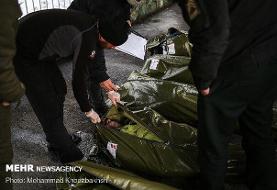 شناسایی تعدادی از جانباختگان حادثه سقوط بهمن در ارتفاعات تهران