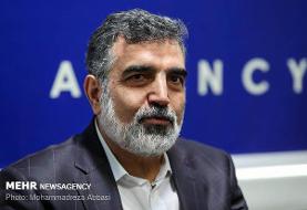 تحریم «صالحی» بی‌ارزش است/ برنامه هسته‌ای با جدیت پیش می‌رود