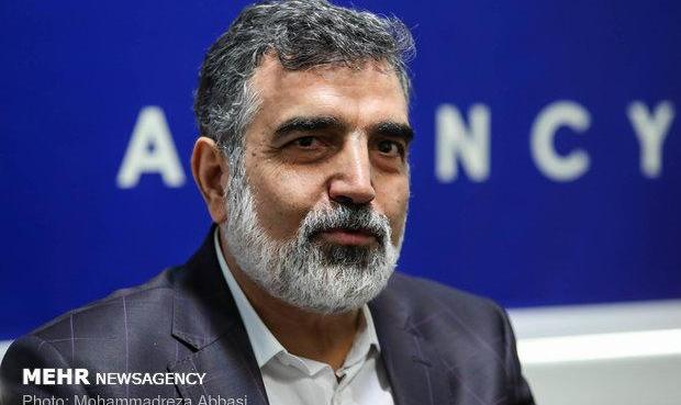 تحریم «صالحی» بی‌ارزش است/ برنامه هسته‌ای با جدیت پیش می‌رود