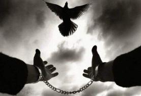 ۴ نفر در بوشهر از قصاص نجات یافتند/ آزادی ۱۶ نفر از زندان