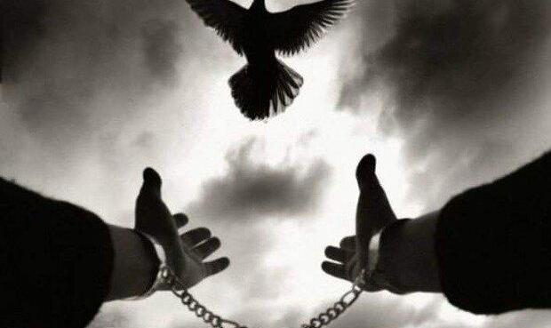 ۴ نفر در بوشهر از قصاص نجات یافتند/ آزادی ۱۶ نفر از زندان