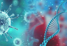 راز کرونا فاش شد؟ ؛ اظهارات مهم سخنگوی وزارت خارجه چین | ردپای سیا و جزئیات مقاله‌ آمریکایی‌ها ...