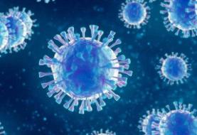 چین: ویروس کرونا ۲۰۱۵ در آمریکا تولید شده است