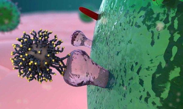 موفقیت محققان کشور برای درمان التهاب ریه مبتلایان به کرونا با ترکیب سه دارو