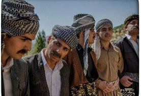 «درخت گردو» پروانه نمایش گرفت/ صدور مجوز برای «مردن در آب مطهر»